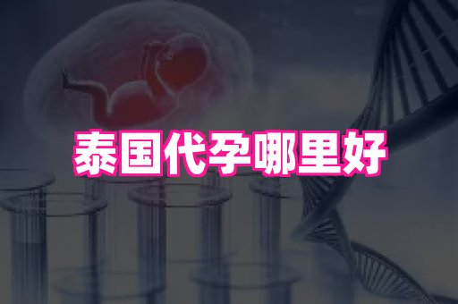 国际助孕网站 3